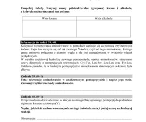 Matura 2020 ARKUSZE CKE: Chemia