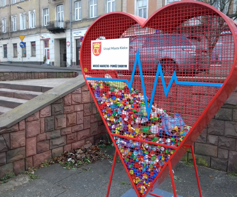 Pojemniki na nakrętki w Kielcach