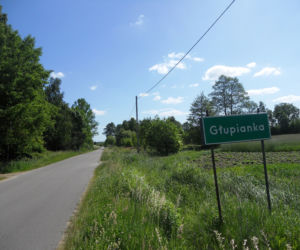 Głupianka (pow. otwocki)