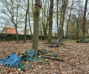 Rozbiórka Parku Linowego Tarzan w Parku Tysiąclecia w Lesznie