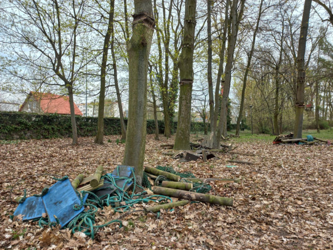 Rozbiórka Parku Linowego Tarzan w Parku Tysiąclecia w Lesznie