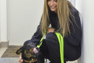 Doda i Rozenek-Majdan walczą o prawa zwierząt