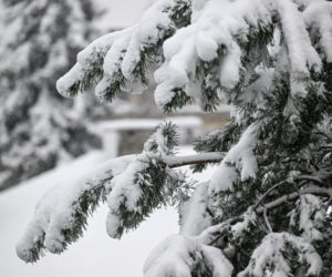 Widok po po nocnych, intensywnych opadach śniegu w Przemyślu