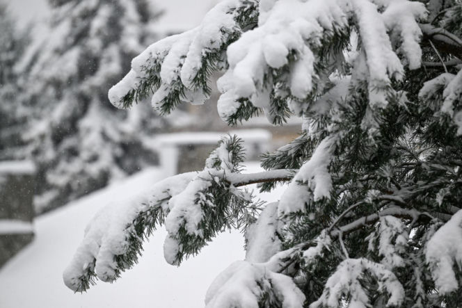 Widok po po nocnych, intensywnych opadach śniegu w Przemyślu