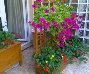 balkon zdjecie nr 3