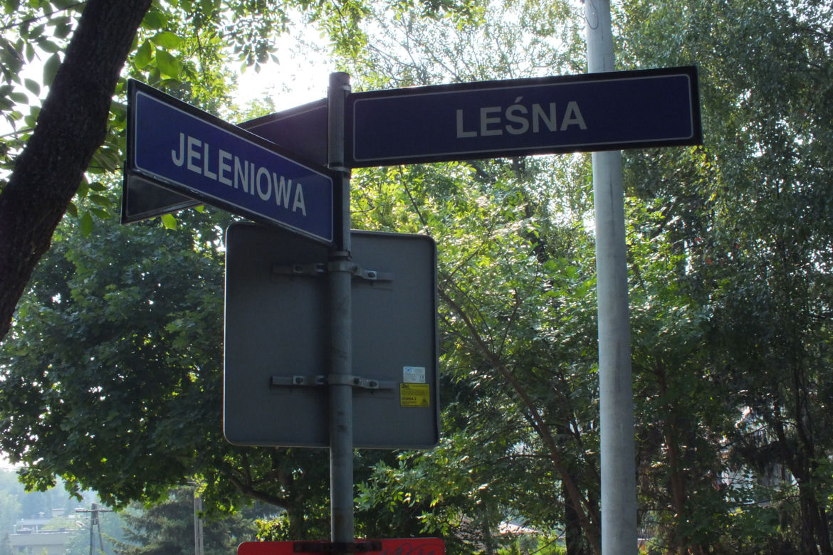 Jeleniowa