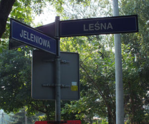 Jeleniowa