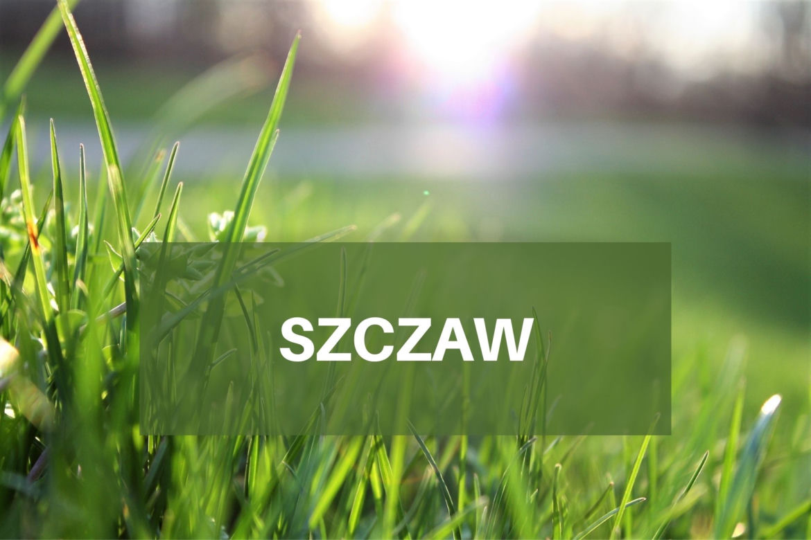 Co pyli w czerwcu 2021? Jakie pyłki wywołują alergie w czerwcu? [LISTA ALERGENÓW]
