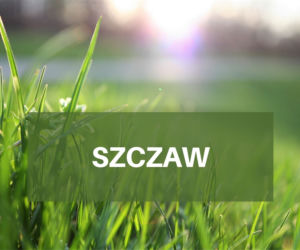 Co pyli w czerwcu 2021? Jakie pyłki wywołują alergie w czerwcu? [LISTA ALERGENÓW]