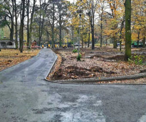 Remont parku Łyczywka