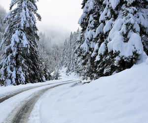 To ostatni dzwonek żeby zmienić opony na zimowe [AUDIO]