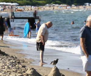 Marian Lichtman na plaży