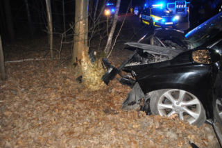 Dzik wyskoczył na drogę, kierowca Lexusa uderzył w drzewo. Nie żyje pasażer auta