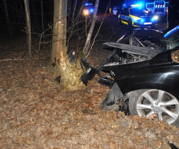 Dzik wyskoczył na drogę, tragedia gotowa!