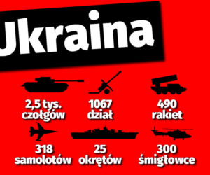 Wojna na Ukrainie. Jakie wojska mają Ukraina i Rosja?