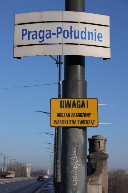 Zaszczepiłam mojego kota!