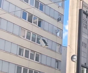 Remont po wrocławsku. Lodówka poleciała z okna wieżowca. Nagranie jest hitem