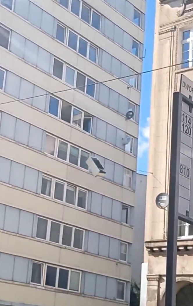 Remont po wrocławsku. Lodówka poleciała z okna wieżowca. Nagranie jest hitem