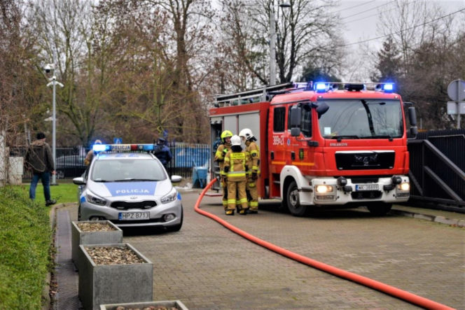 Ćwiczenia Kompresja