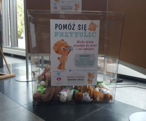 Pomóż się przytulić: Wielka zbiórka pluszowych misiów dla CZD!
