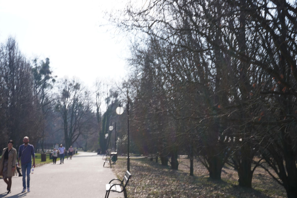 Pierwsze zwiastuny wiosny na poznańskiej Cytadeli