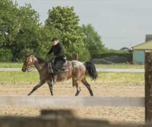  Daniel Olbrychski pachniał koniem i potem