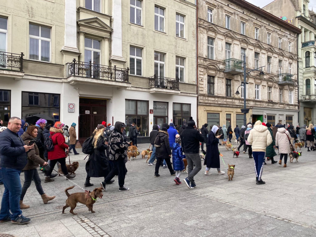 Parada Kundelków