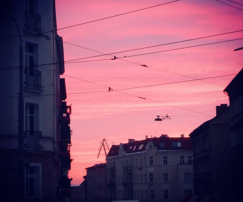 Różowy wschód słońca