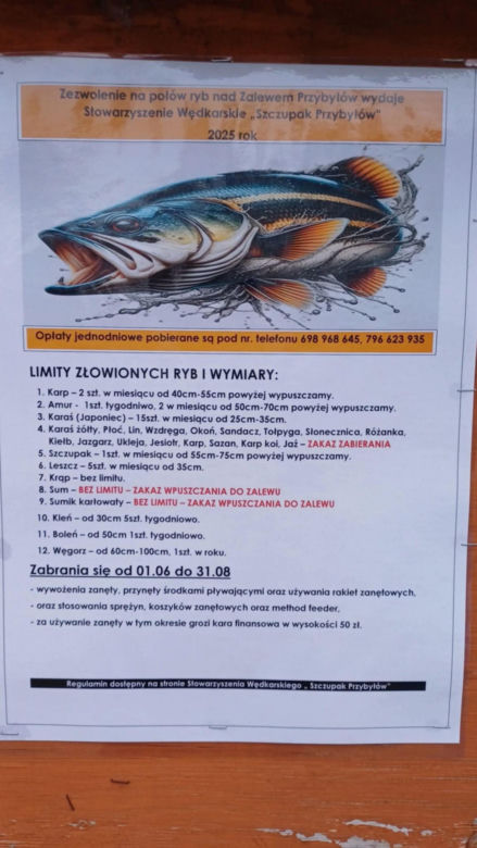 Sum gigant Rafała Kopra