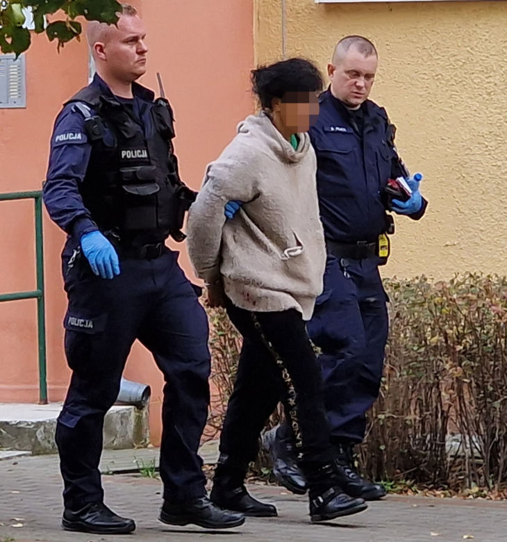 Horror we Włocławku. Lidia wyszła z psychiatryka i zabiła swoją szwagierką