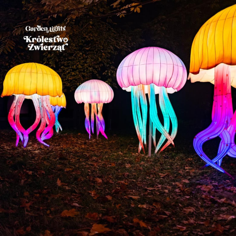 Garden of Lights