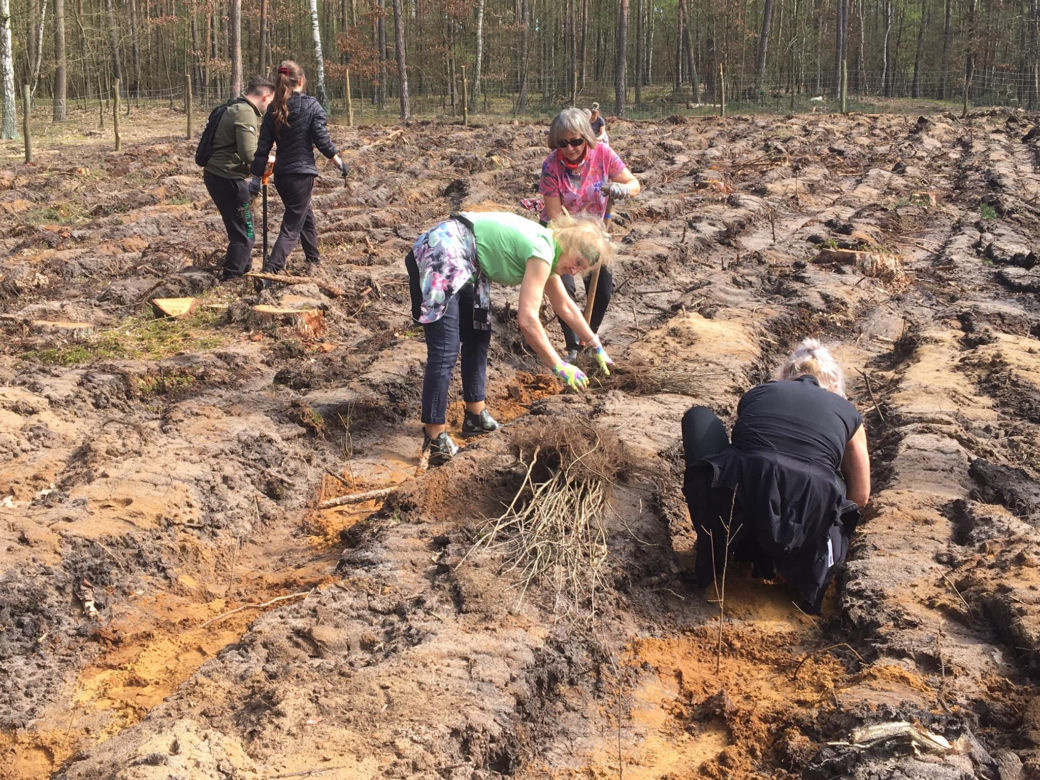Akcja "Grudziądzanie sadzą las" 2024