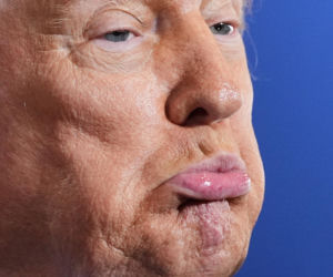 Bawół wygląda jak Donald Trump! To ocaliło mu życie