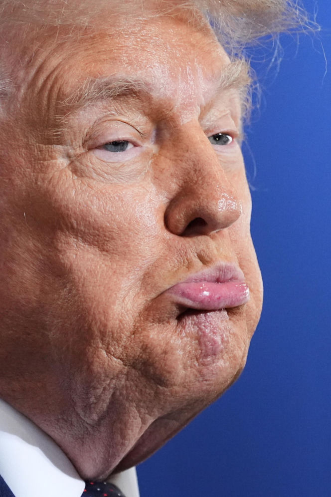 Bawół wygląda jak Donald Trump! To ocaliło mu życie
