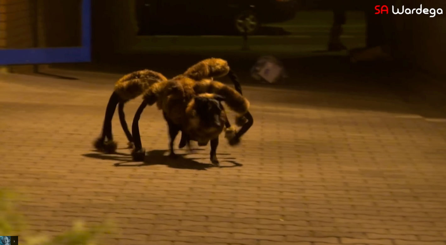 SA Wardega - Mutant Giant Spider Dog