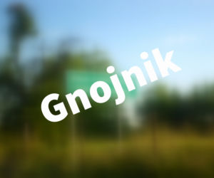 Gnojnik