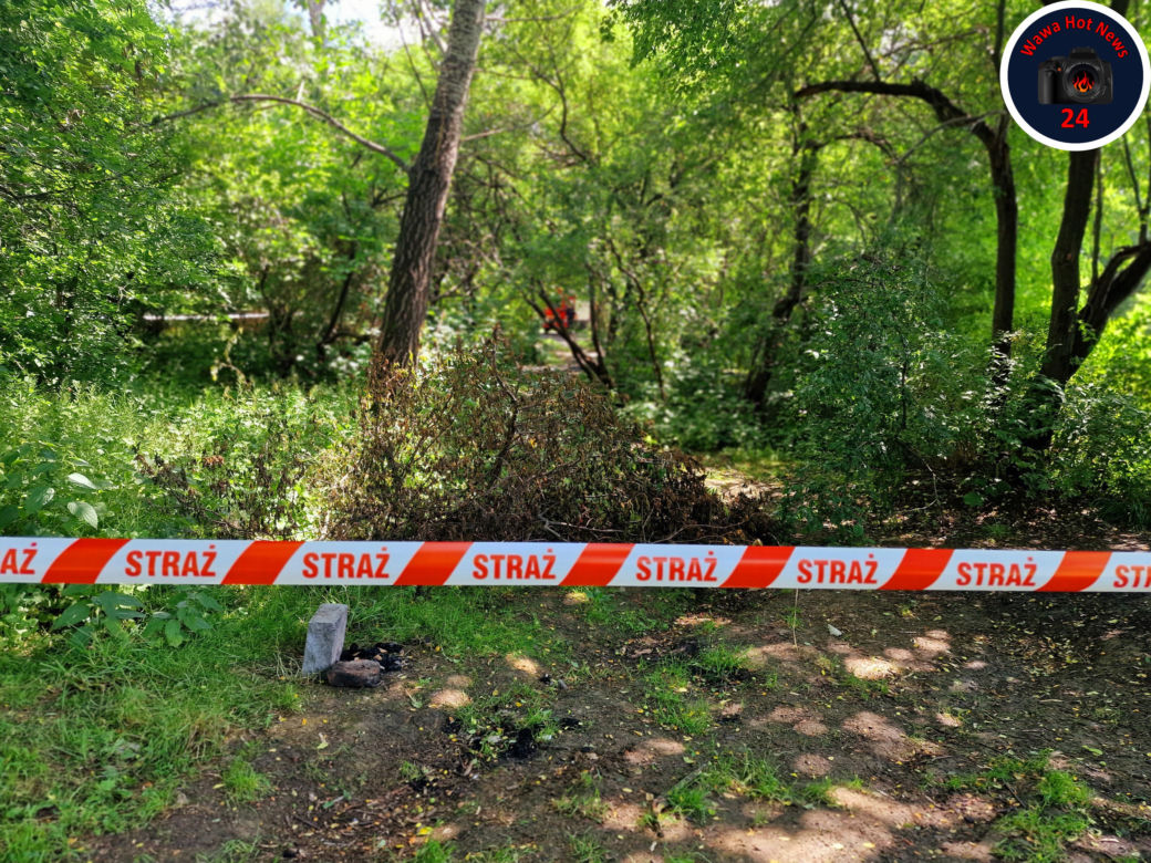 Poszukiwania zaginionego 31-latka pod Pruszkowem