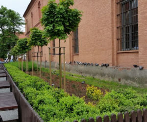 PGE Toruń wspiera zieleń i zagrożone gatunki zwierząt!