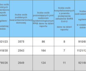 Koronawirus w województwie śląskim. 4 listopada aż 2165 nowych zakażeń. W których miastach najwięcej?