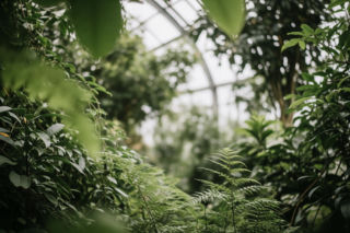 Dżungla 360 w Botaniku. Czy miasto zapomniało o głosie łodzian?