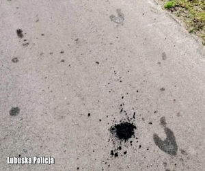 Po nitce do kłębka... a dokładniej do złodziei!