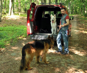 Komisarz Alex 4 sezon odcinek 40 (odc. 1). Szalony (Andrzej Andrzejewski), Alex, Malina