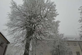 Majestatycznie, zimowo, jak w bajkowej Narnii. Tak Nowy Rok wita Święty Krzyż