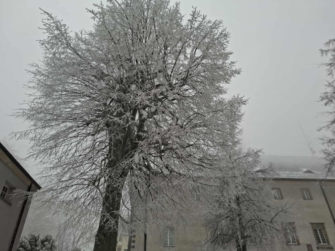 Majestatycznie, zimowo, jak w bajkowej Narnii. Tak Nowy Rok wita Święty Krzyż