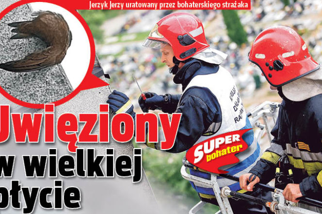 Uwięziony w wielkiej płycie