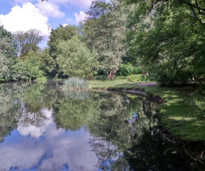 Park Tysiąclecia w Toruniu czekają spore zmiany