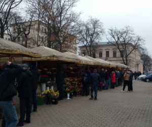 Oblężenie murku z kwiatami