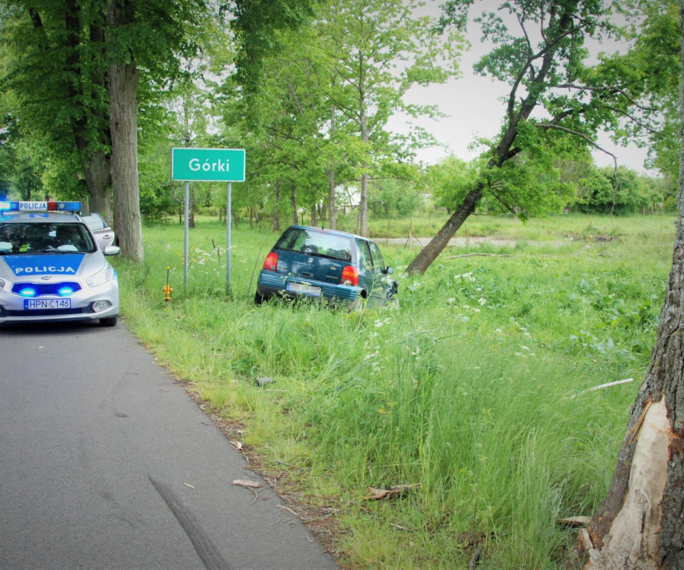 Po uderzeniu w drzewo uciekł razem z pasażerem
