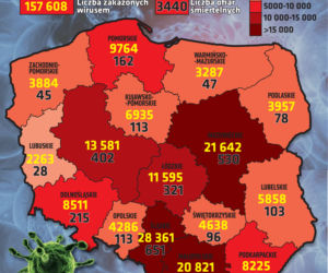 Koronawirus w Polsce. Statystyki, wykresy, grafiki (16 października)