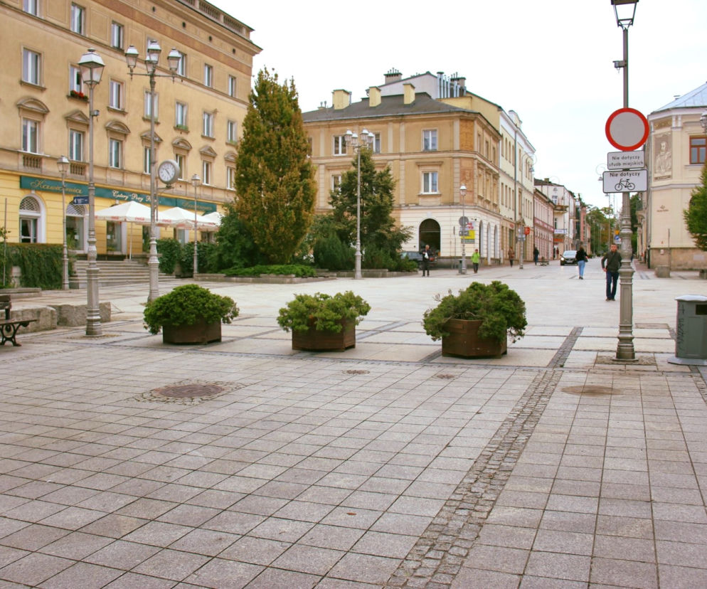 Donice na ulicy Sienkiewicza